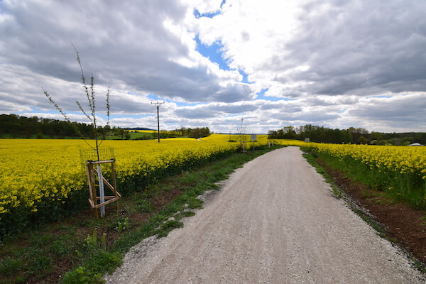 Cyklostezka Lesov – Vysoká